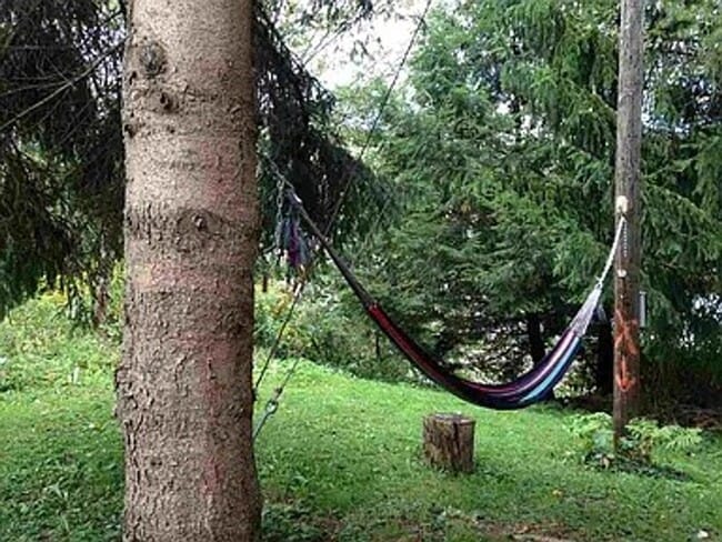 Building Photo - Cozy 3-Bedroom Home with Private Yard in Livingston Manor for November 1st!