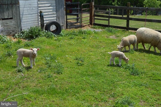 Building Photo - 448 Ridgeview Rd