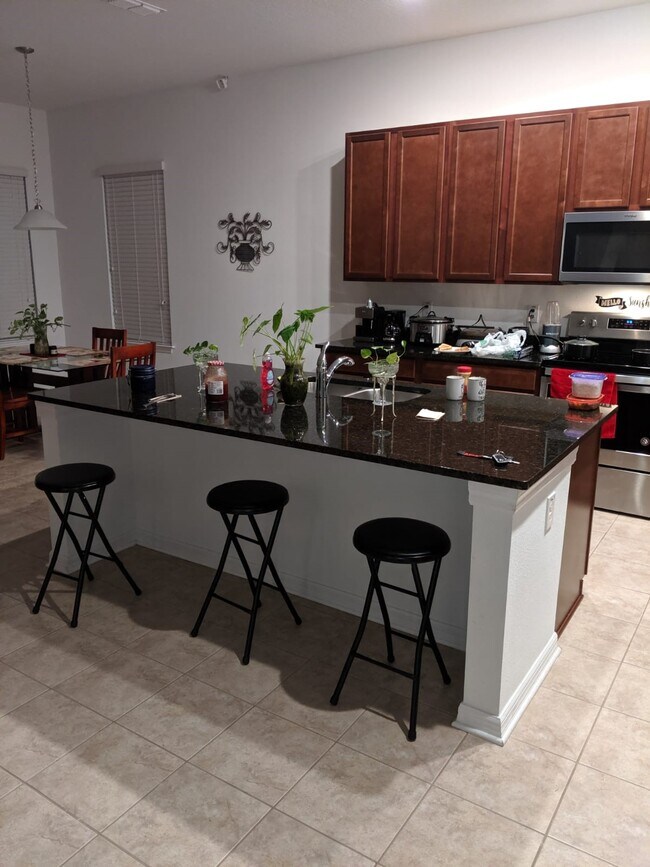 4729 Rolling Green Dr 4729 Rolling Green Dr Wesley Chapel FL 33543