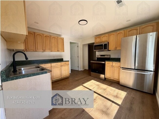 Building Photo - Fully Renovated 2BR Home in Kingsport – St...