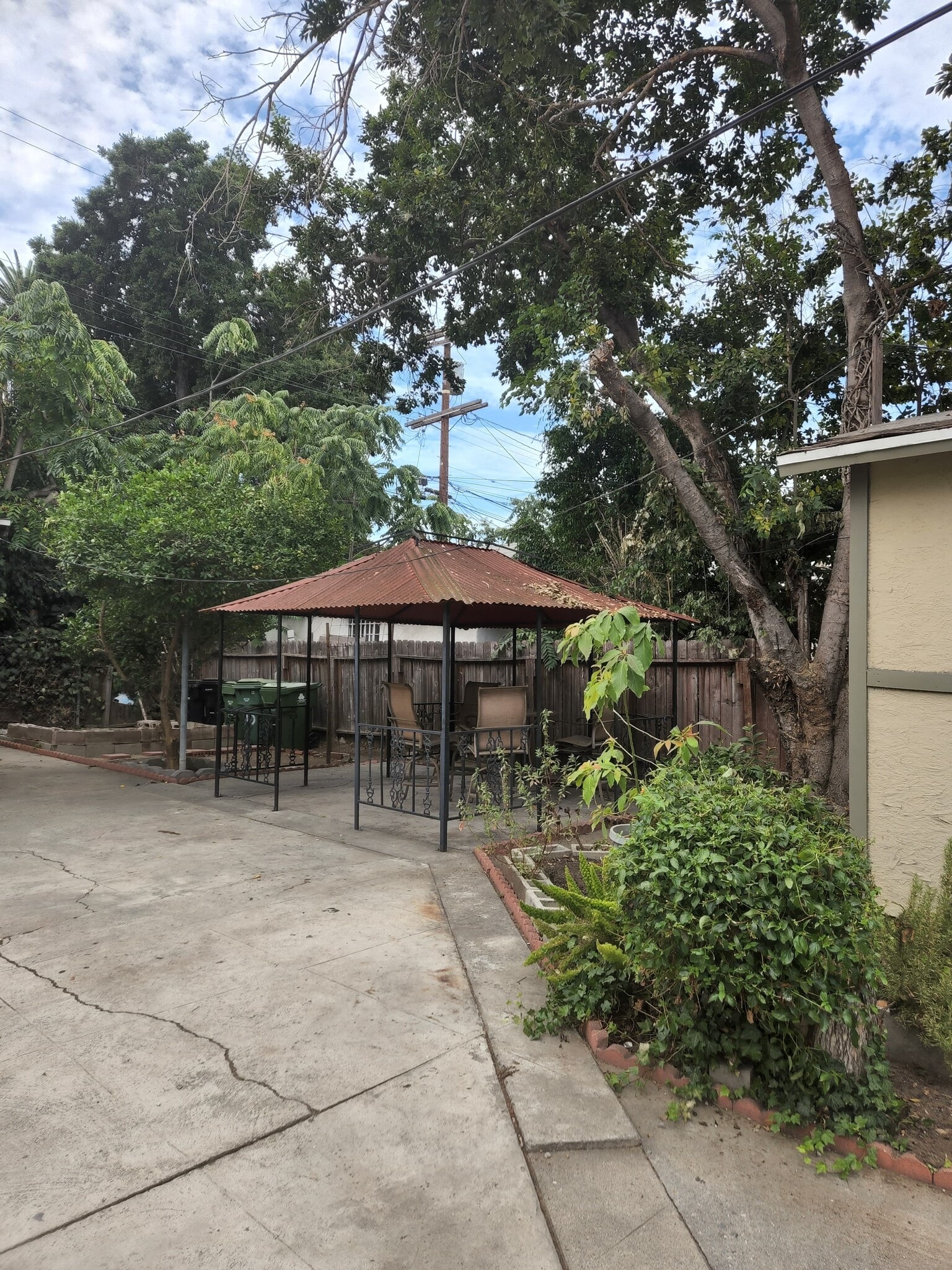 Back yard - 1200 W 36th St