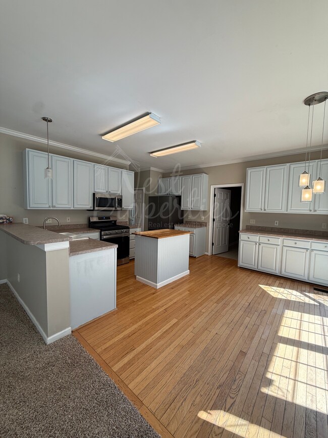 Building Photo - 208 Saints Creek Ln