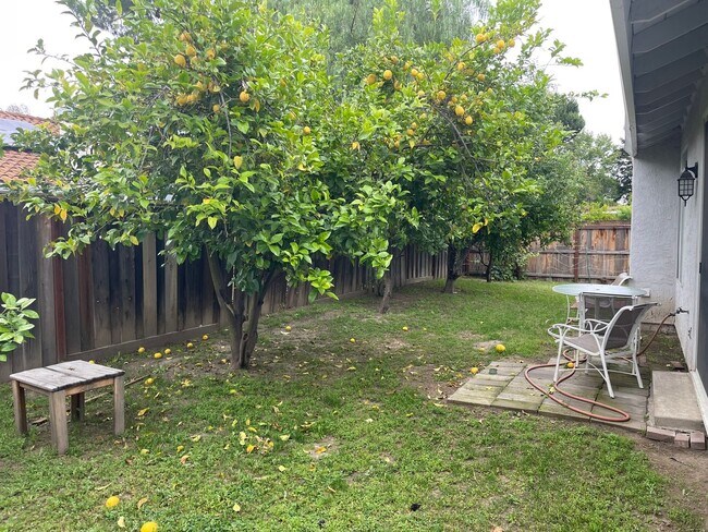 Building Photo - 3br/2ba Home on corner lot