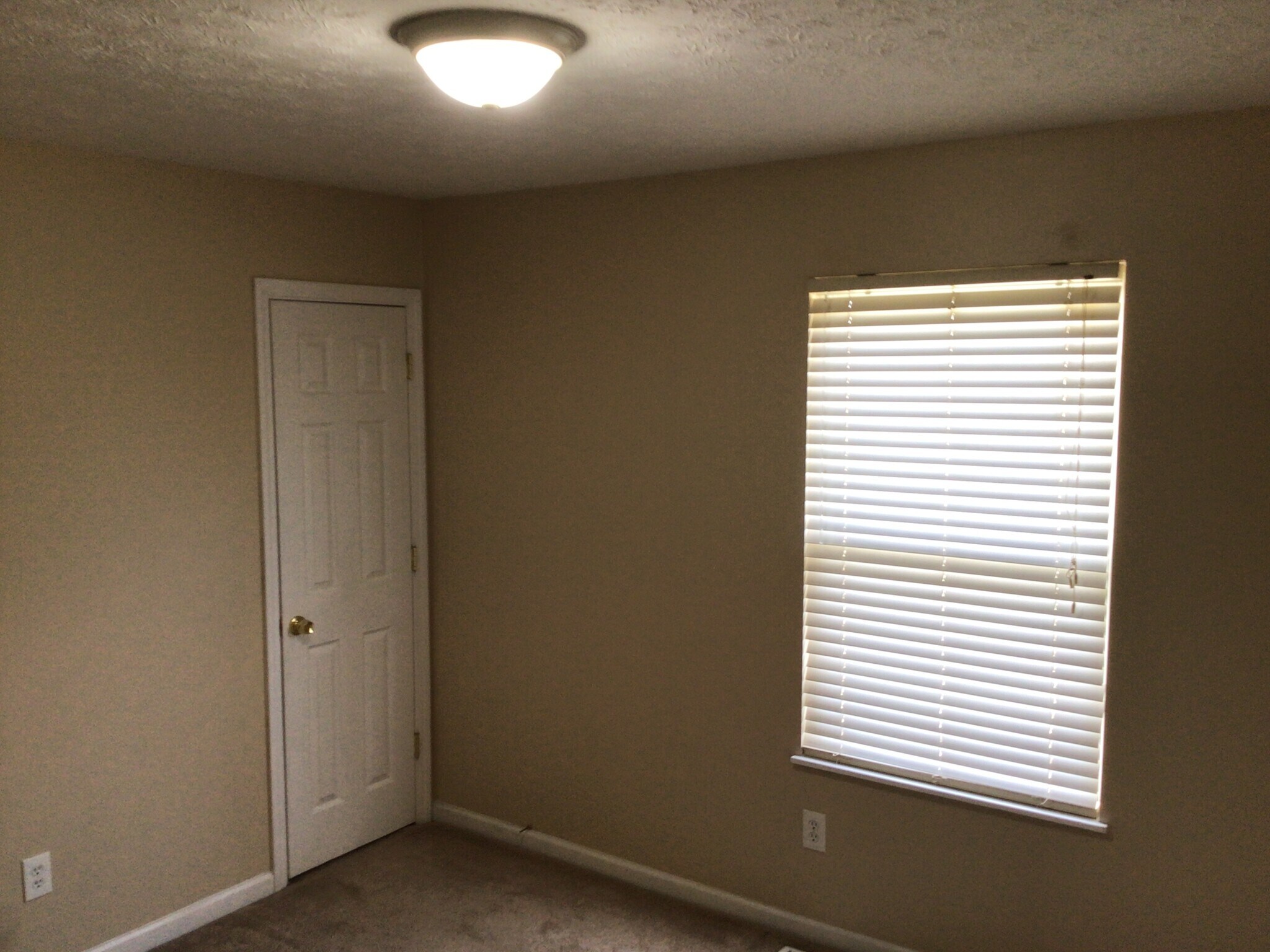 Building Photo - 8412 Celestial Cir