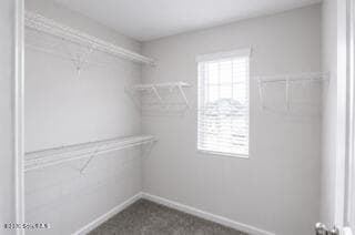 Building Photo - 10063 Woodland Cv