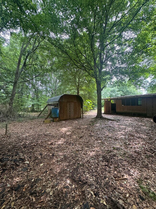 Building Photo - Spacious Brick Ranch on 3 Private Acres in Commerce