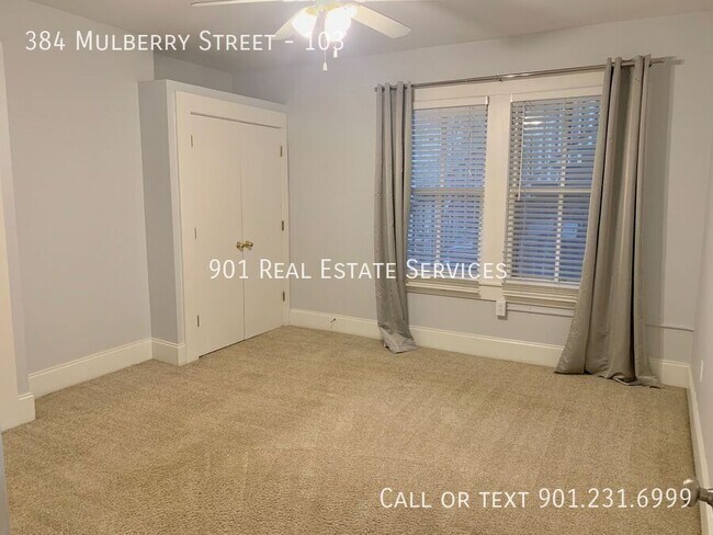 Building Photo - 384 Mulberry St