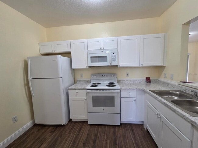 Building Photo - 515 Villa Del Sol Cir