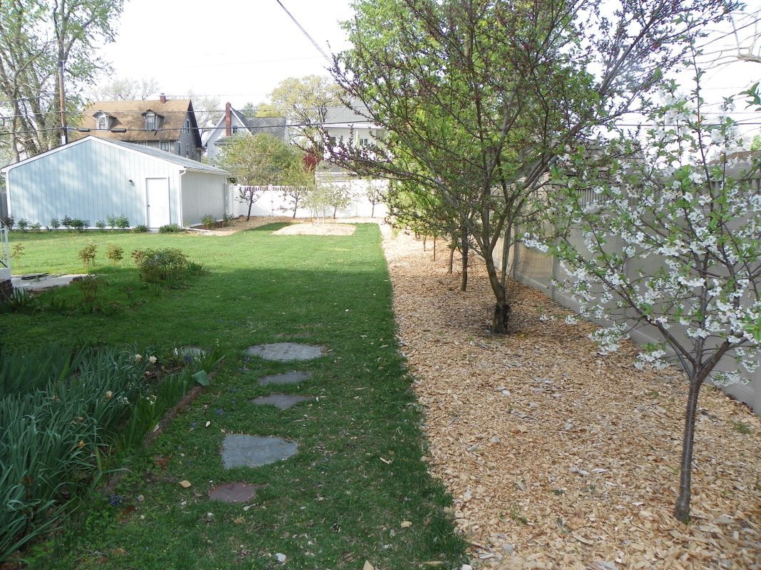 Building Photo - 419 Lippincott Ave