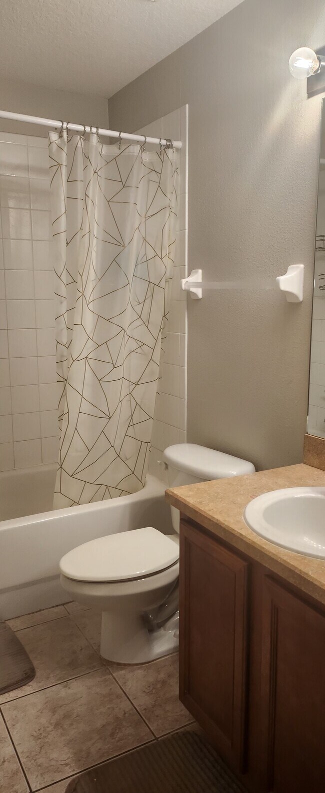 Hall bath and shower - 6739 Bluff Meadow Ct