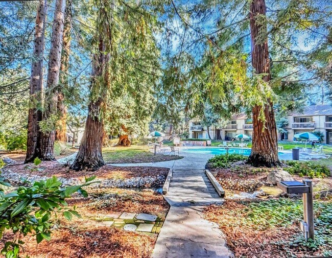 Building Photo - 2 bedroom, 1 bath condo in Mountain View
