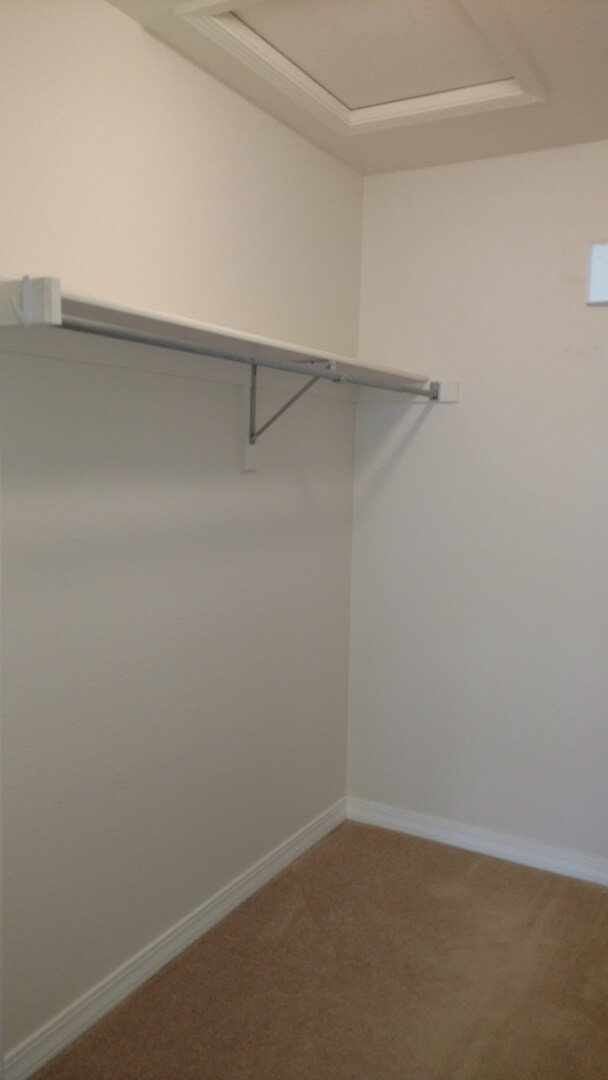 Building Photo - Beautiful and Spacious 3 Bed Condo in SE Fort Collins