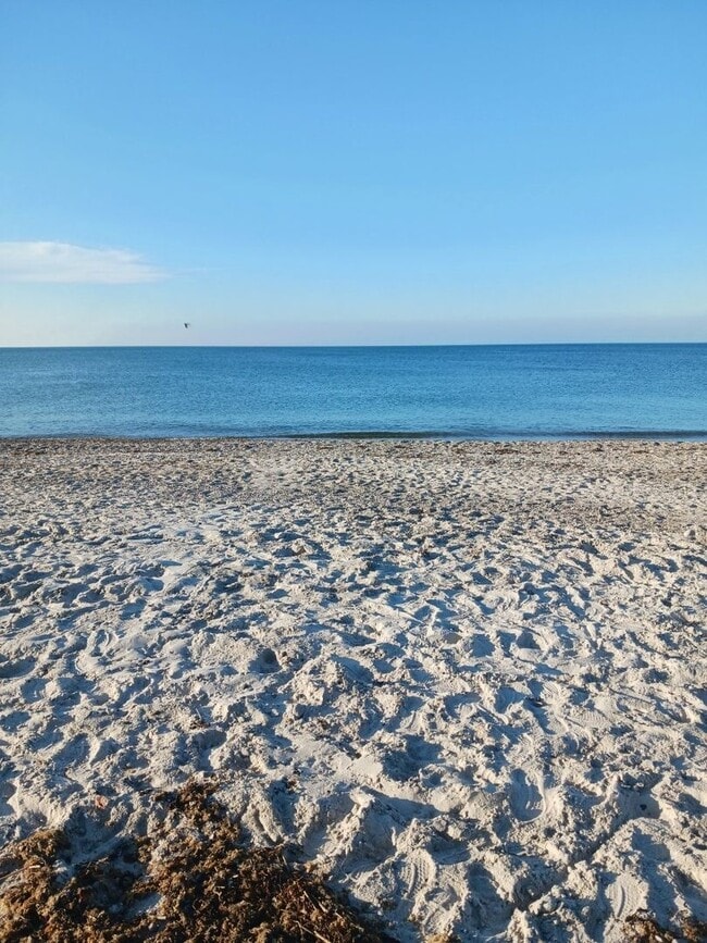 Building Photo - Plymouth/Whitehorse Beach, Fully Furnished...