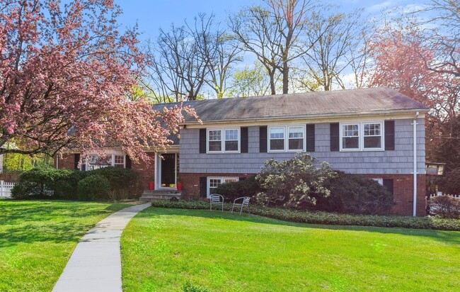 Primary Photo - 25 Chester Dr