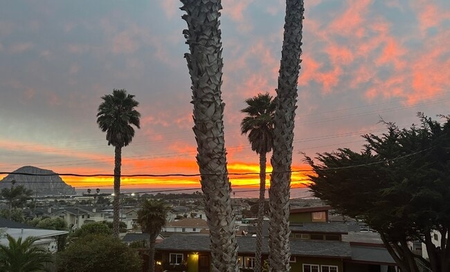 Building Photo - 2560 Juniper Ave