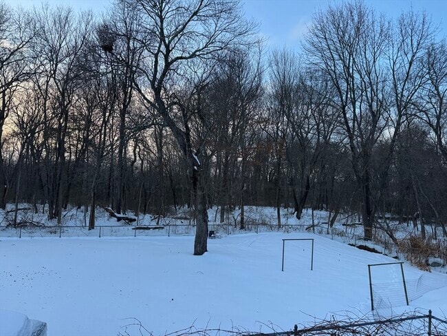 Building Photo - 75 Packard St