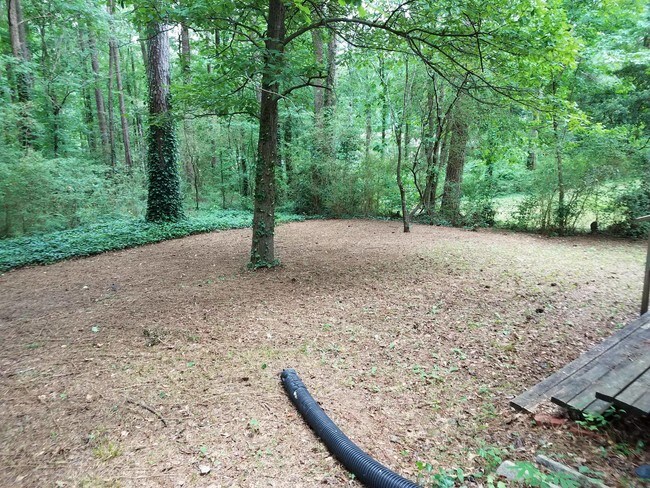 Backyard - 5155 Cornell Dr