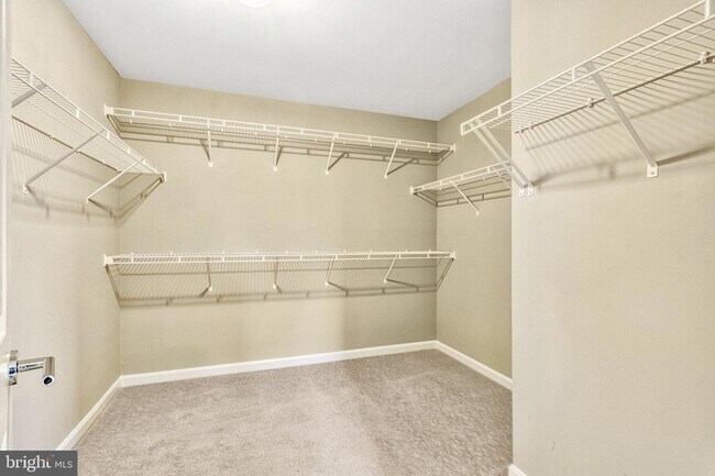 Building Photo - 21491 Willow Breeze Sq