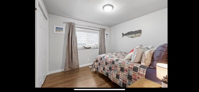 Building Photo - 746 Hemlock Ct