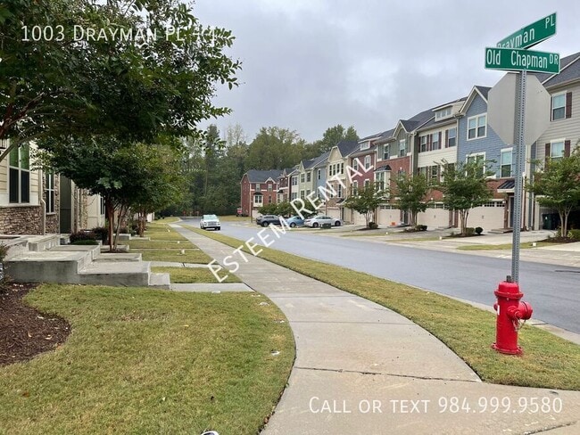 Building Photo - 1003 Drayman Pl