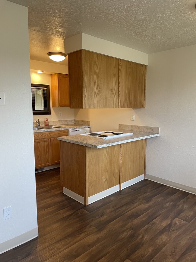 Kitchen from Dining Area - College Green Duplexes