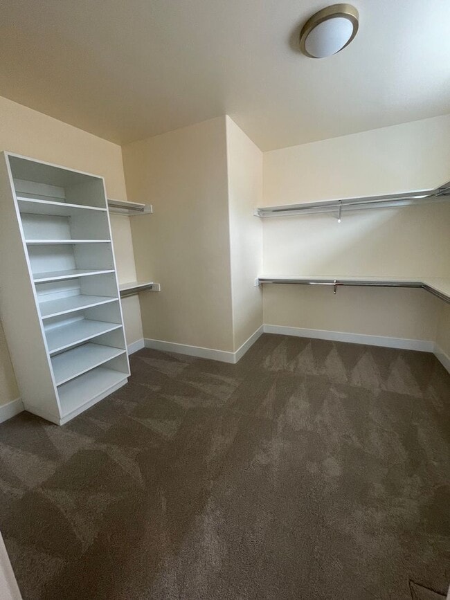 Building Photo - Newer Home in Shevlin West with Mountain V...