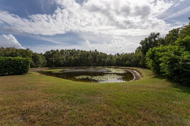 Building Photo - 3037 Lynwood Ct