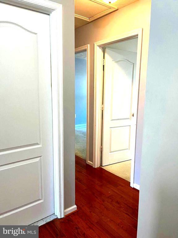 Building Photo - 3280 Halcyon Ct