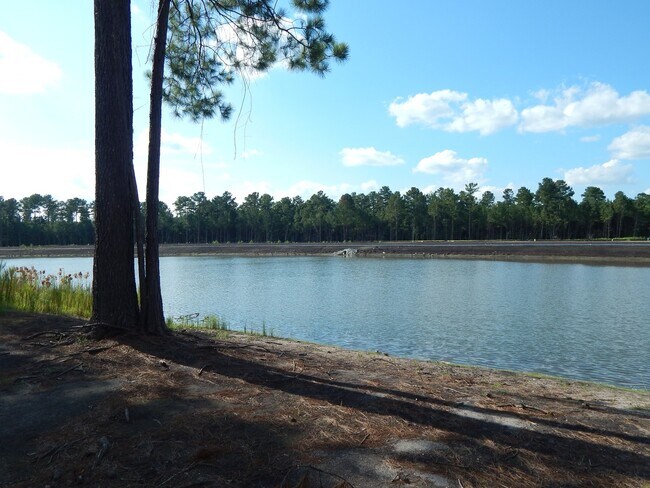 Building Photo - Spacious 6 bedroom, 4 bathroom home!