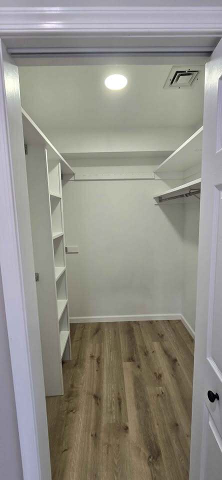 Master closet 1 - 245 Plum Aly