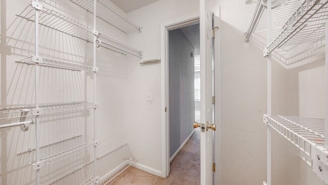 Building Photo - 4 Bedrooms, 2 Bathrooms in the Heart of Richmond Hill - Mulberry Subdivision