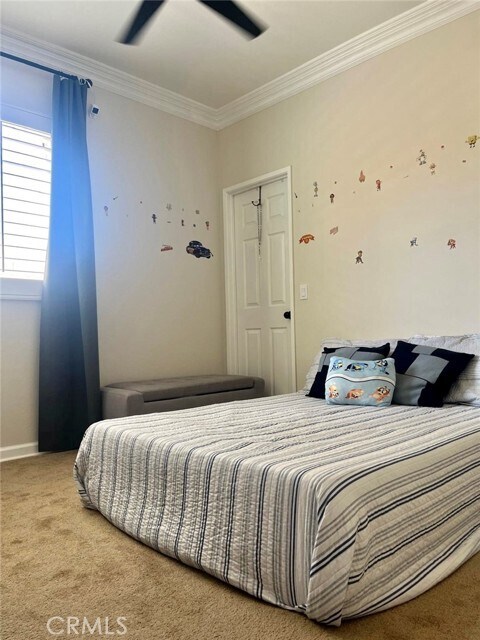 Building Photo - 3520 Satin Ct