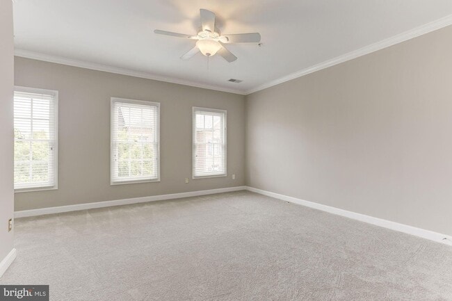 Building Photo - 286 Murtha St