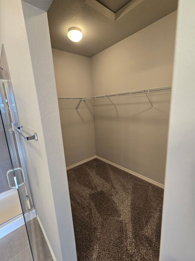 Building Photo - 3B/3B Townhome NOW AVAILABLE in Windsor! Great Location!