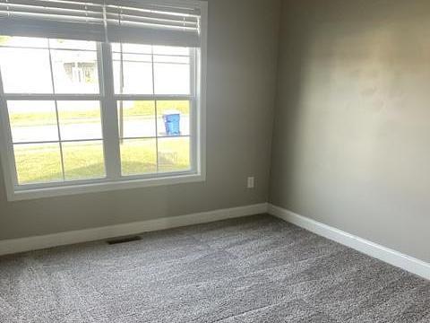 Building Photo - 809 Alpine Pine St