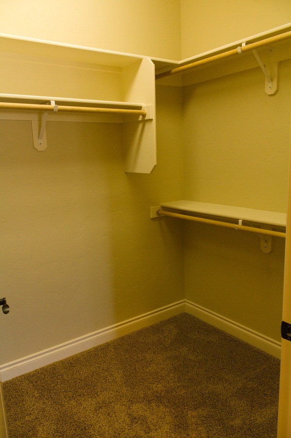 Building Photo - 2437 Bramasole Dr Way