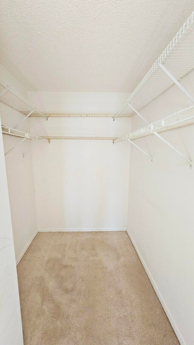 Building Photo - 1109 Green Pine Blvd