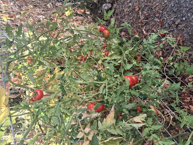 Building Photo - 4020 E Creek View Dr