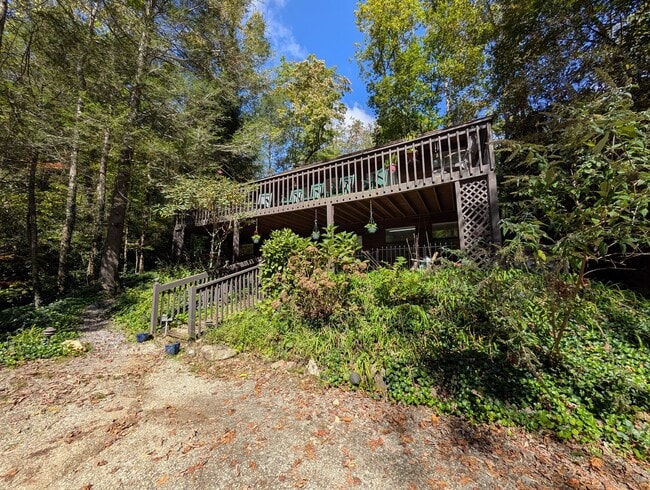 Building Photo - Furnished Montreat Basement Apartment! - Utilities Included