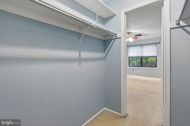 Building Photo - 253 Everly Ct