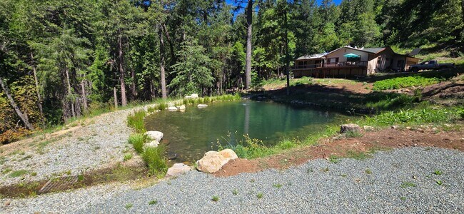 Building Photo - Charming 2 bedroom 1.5 bath ADU on acreage