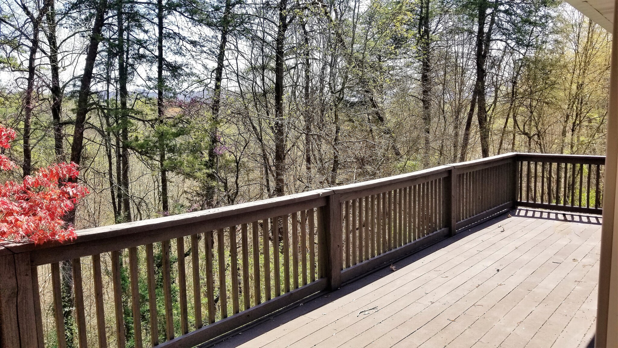 Building Photo - 2361 Forge Hideaway Loop