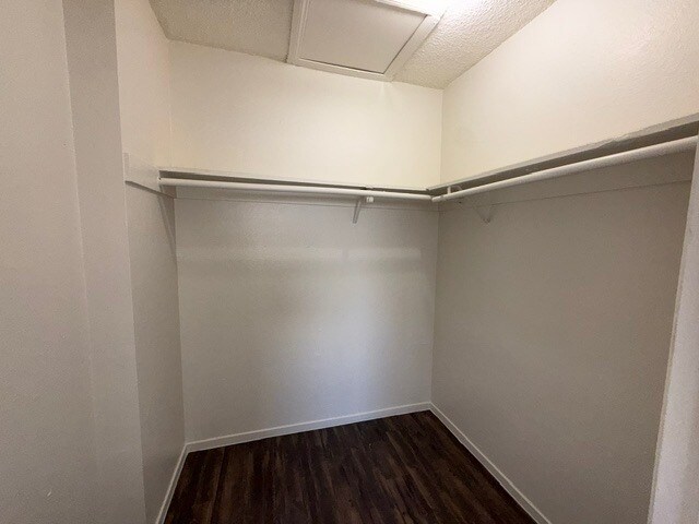 Building Photo - 2230 Dolly Ln