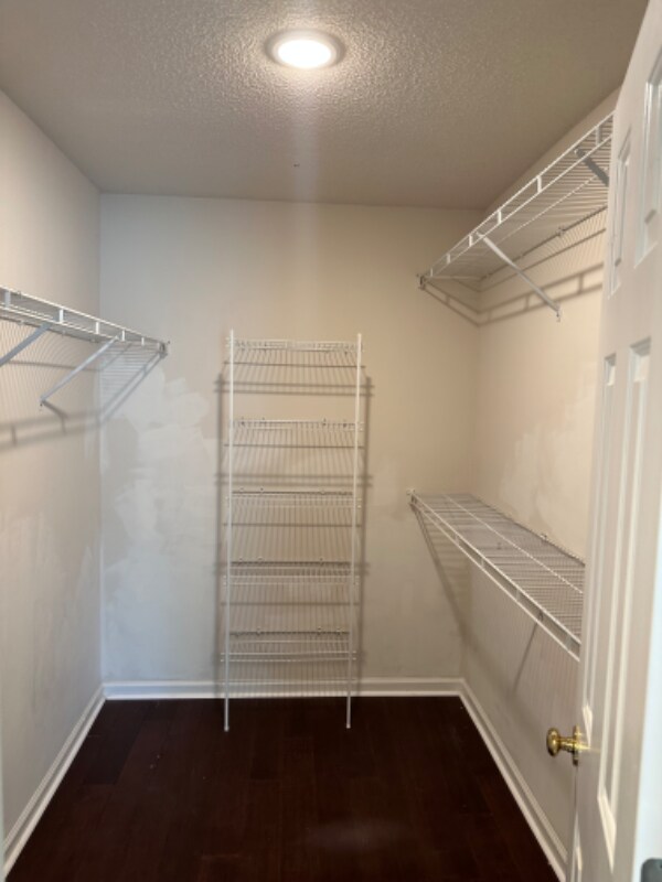 Building Photo - 2947 Stanstead Cir