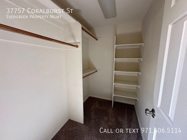 Building Photo - 37757 Coralburst St