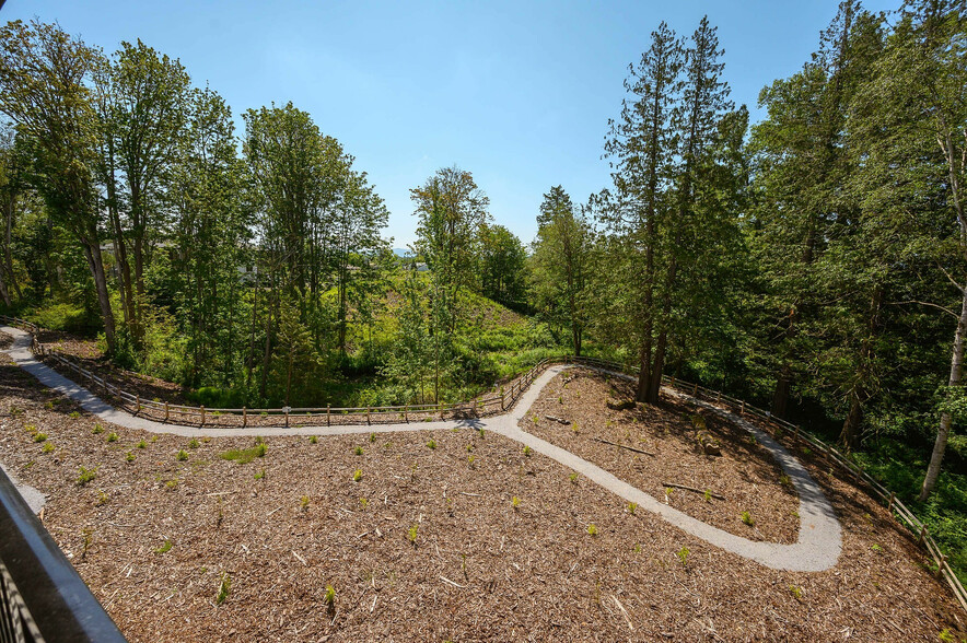 Walking trails along the creek and wetland views. - Alder Creek