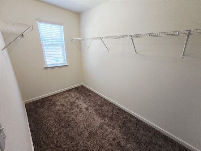 Building Photo - 2708 Wild Laurel Ct