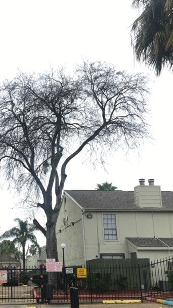 Primary Photo - 8714 Village of Fondren