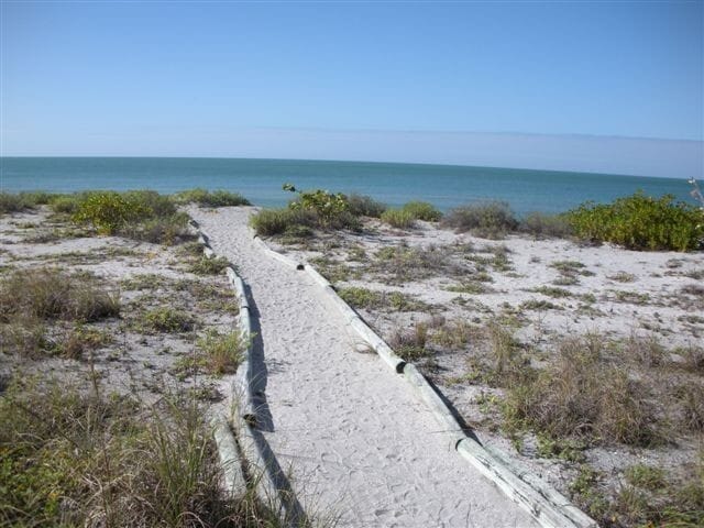 Building Photo - Annual Beachfront Condo at Venice Sands