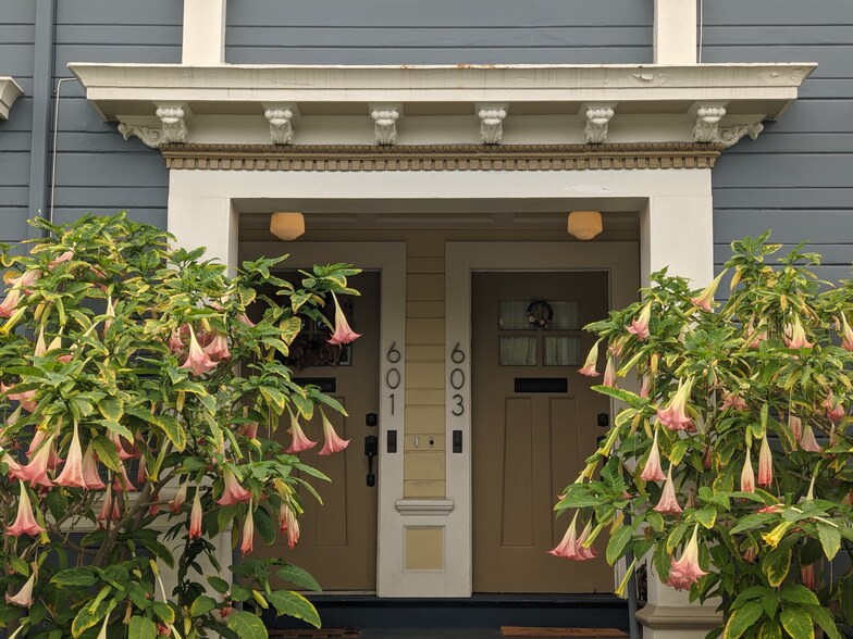 Entry Trumpet Vines - 601 63rd St